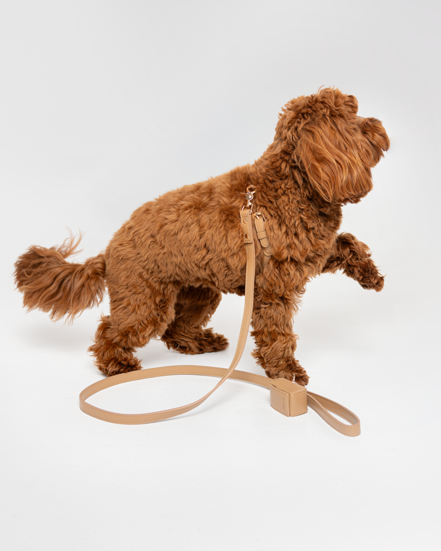 Mocha Harness Set