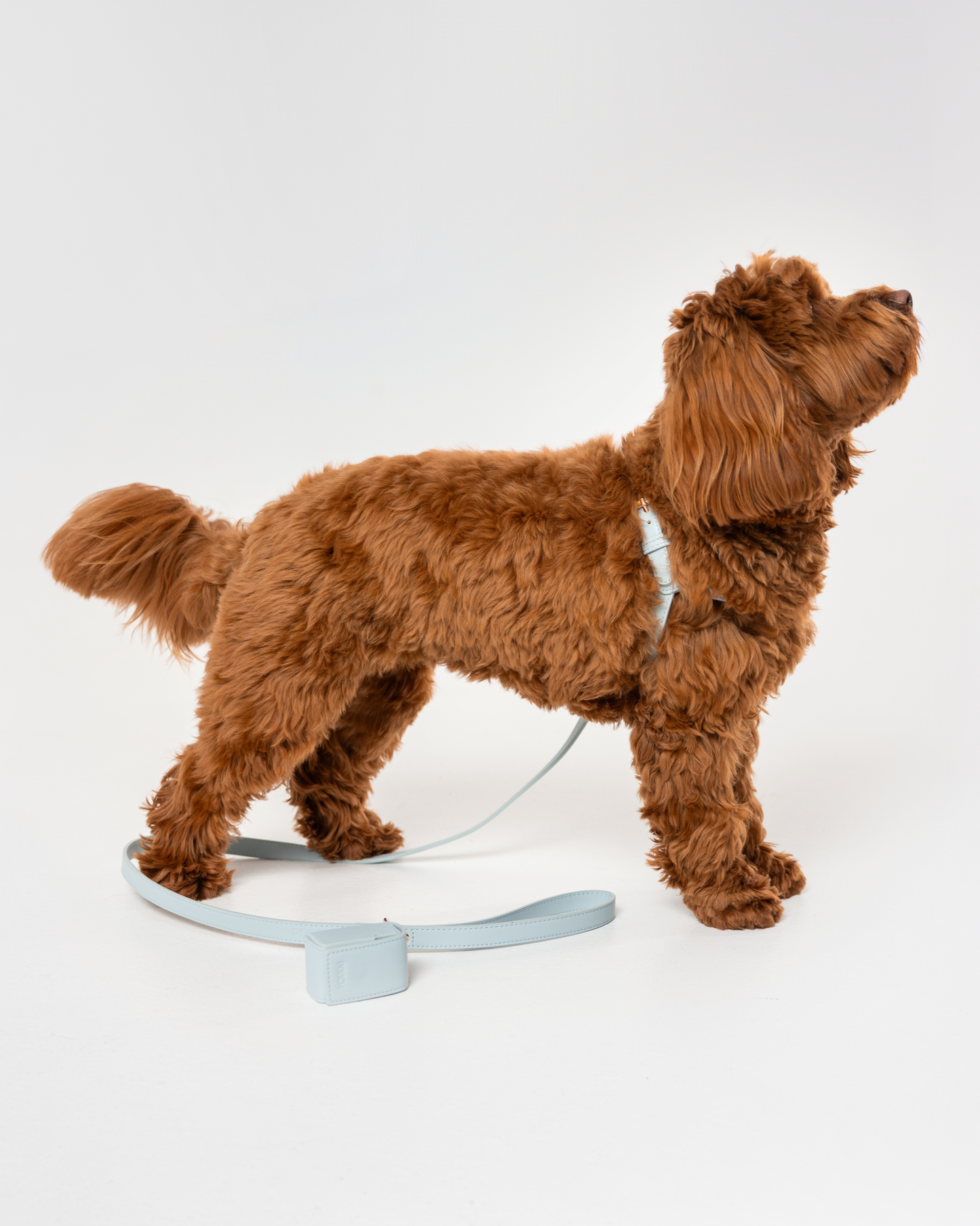 Pearl Blue Harness Set